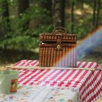 picnic table - free family day out - dynes